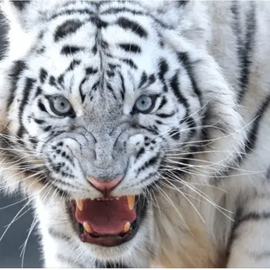 Profile image of 아벨