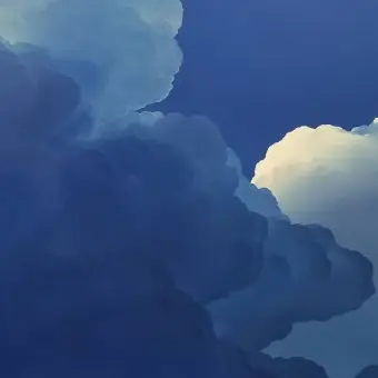 LinearPool2616의 뜰팁 조직