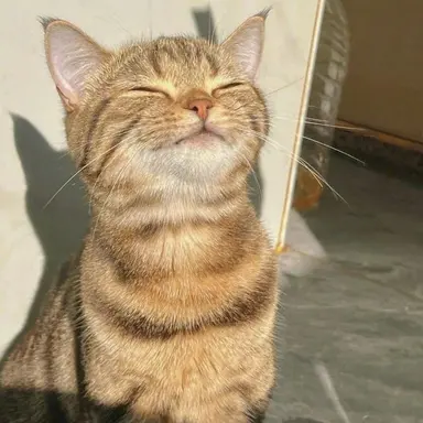 Profile image of クォン・ジヨン