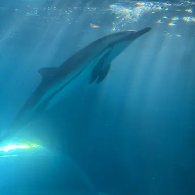 Profile image of 中村海人