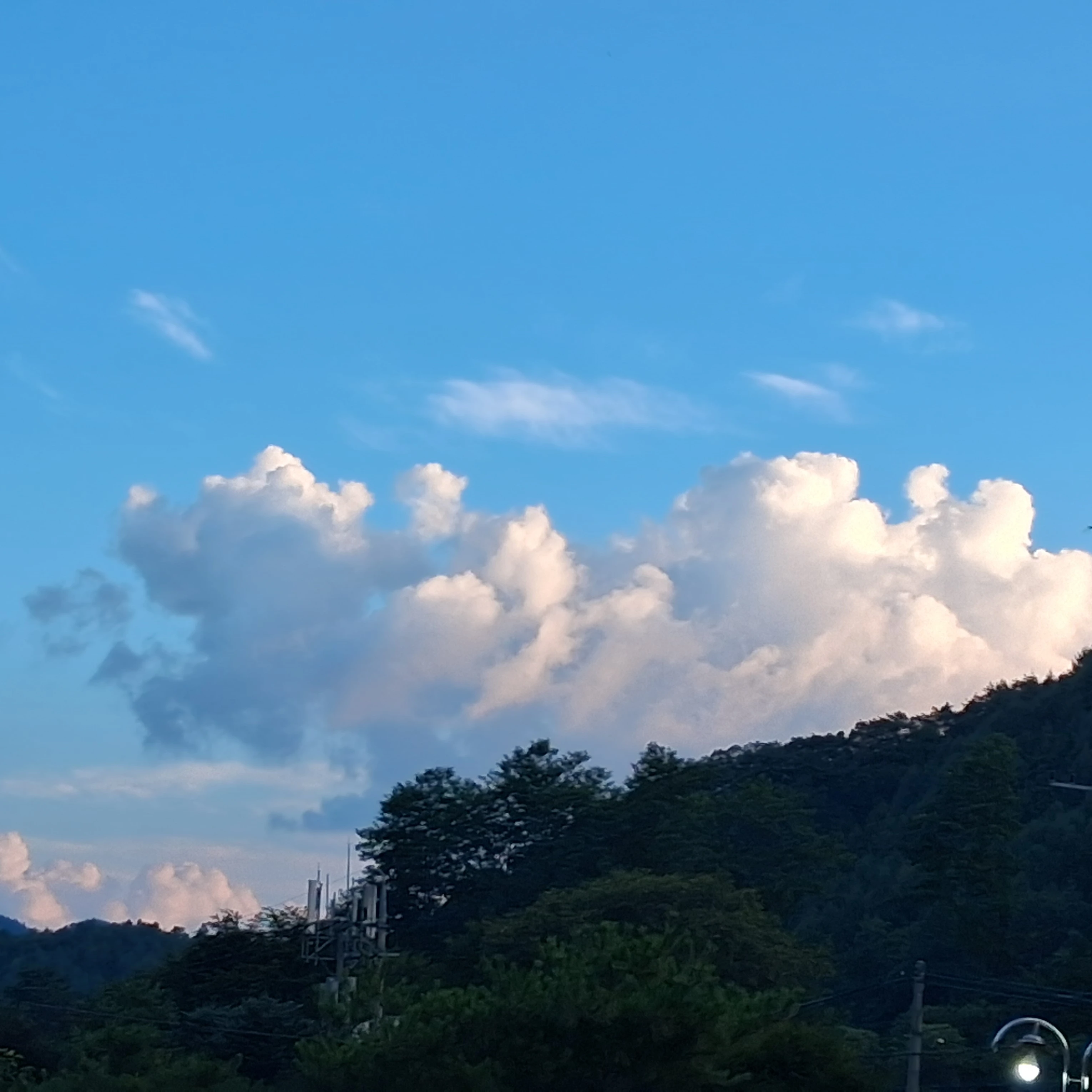 뜰팁