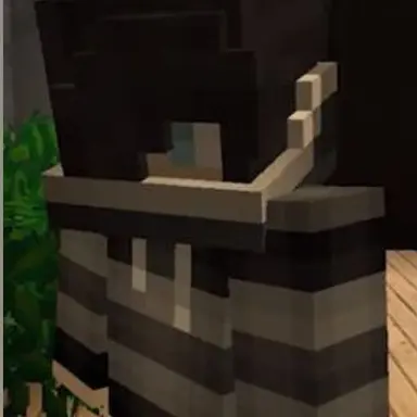 Profile image of Zane