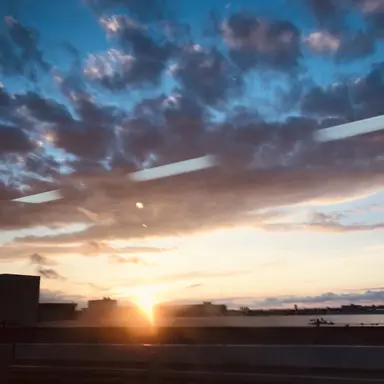 Profile image of 데이빗 폭스