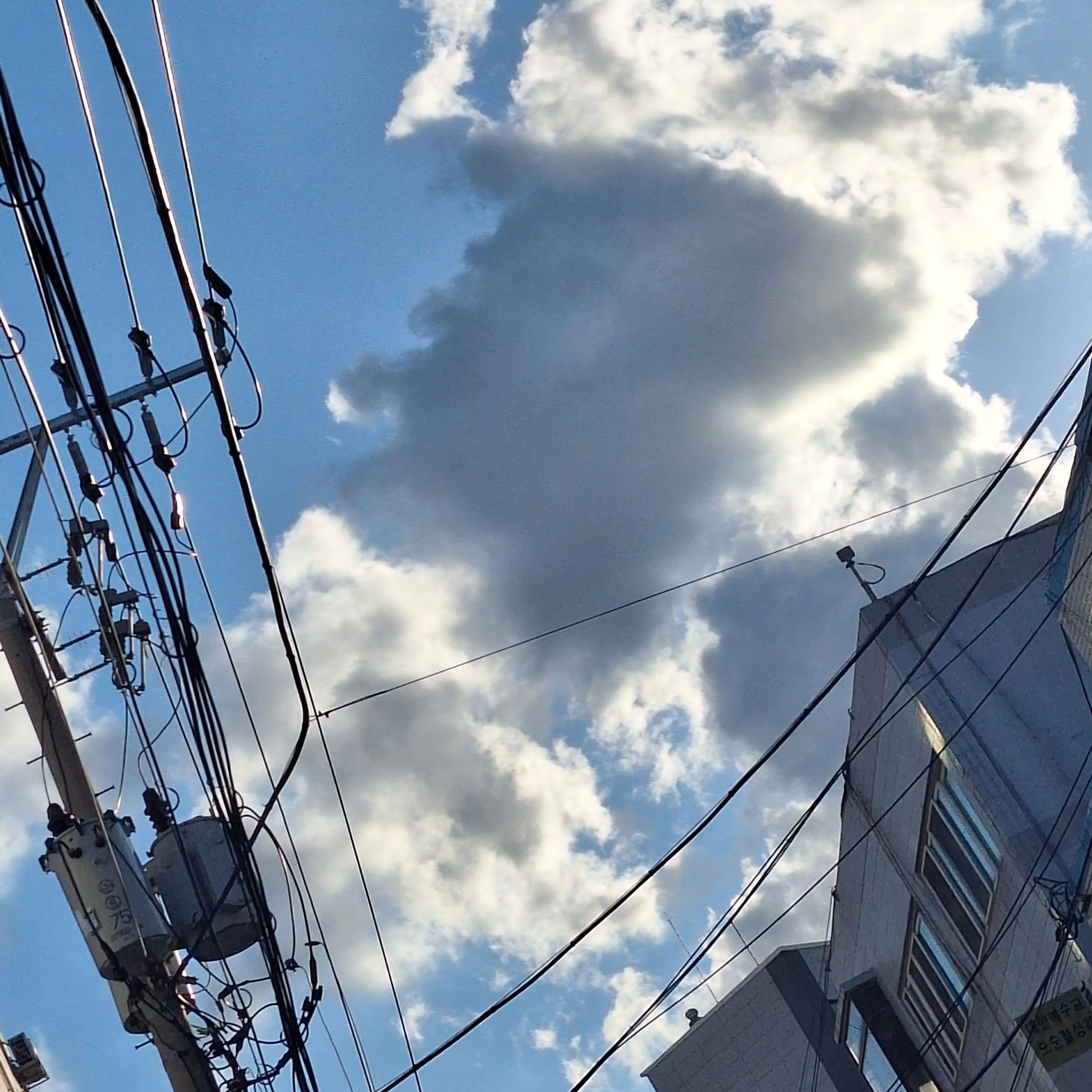 CrispNoise4900의 인기많은 명재현의 핸드폰을 주웠다.?