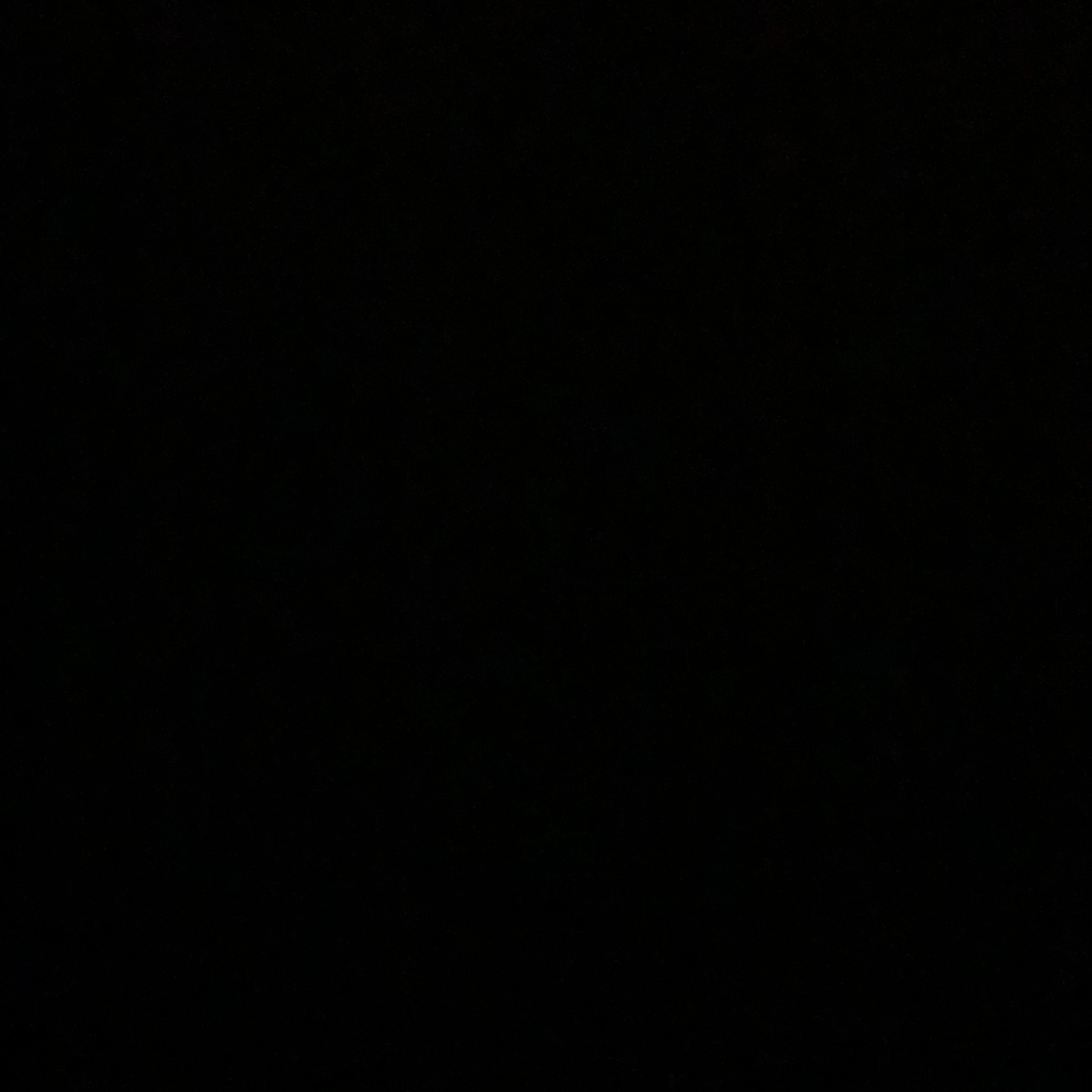 アリス