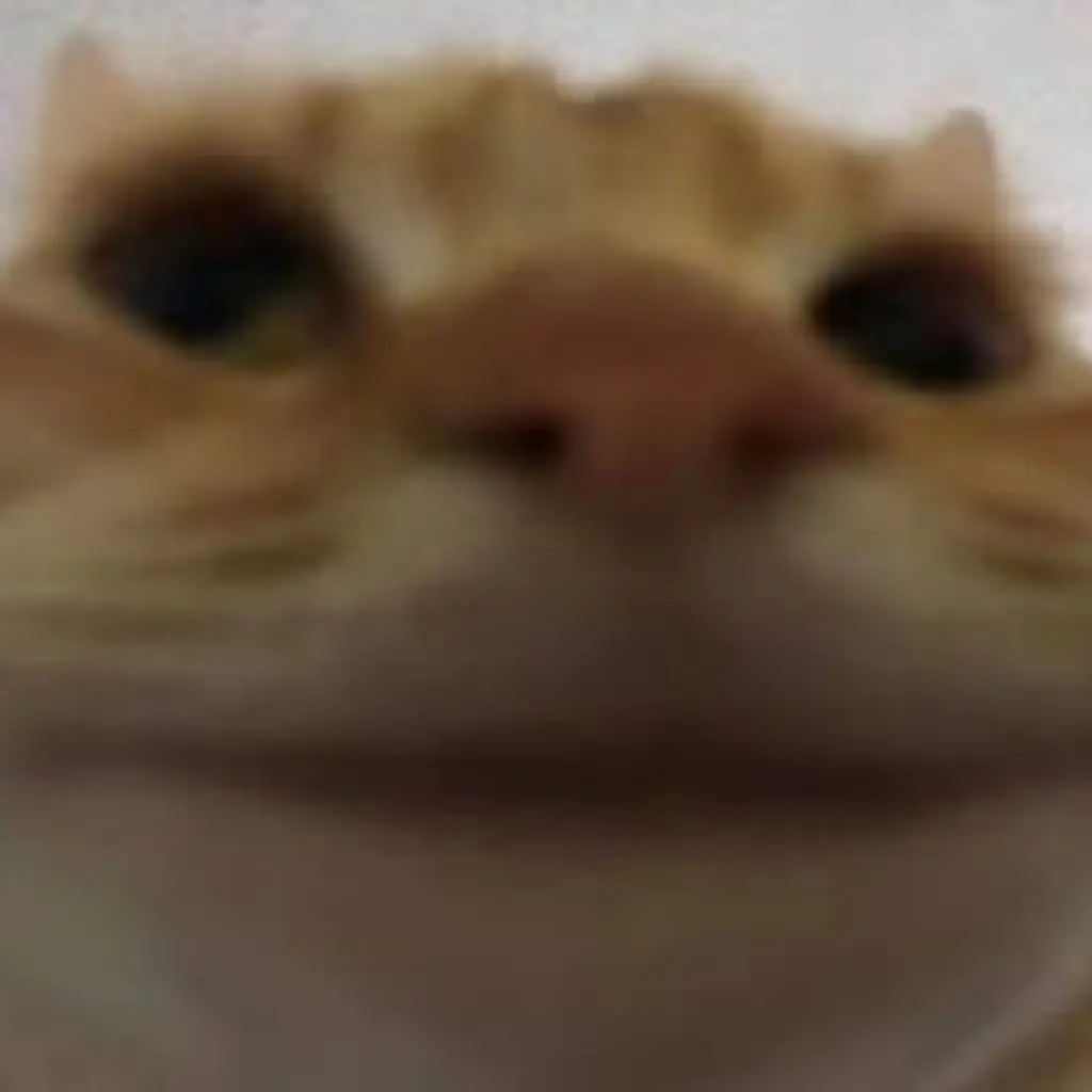 Kimchi1121의 냥냥이