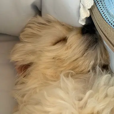 Profile image of 김민정
