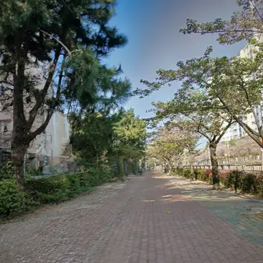 Profile image of 대한민국 임시정부