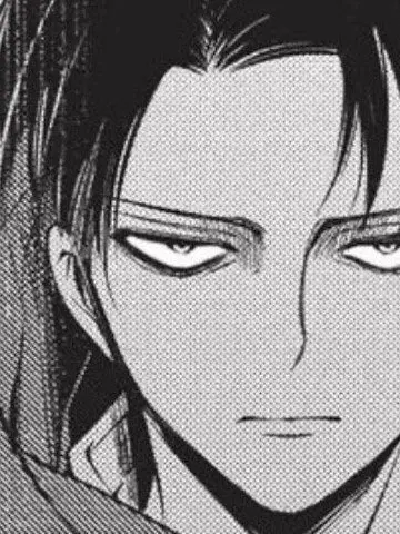 SnugRoad8166의 리바이 아커만