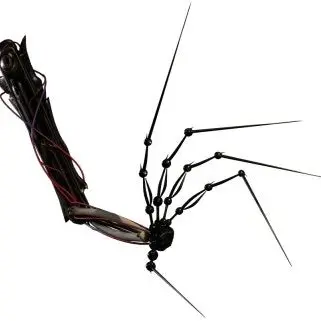 Profile image of 프로토타입