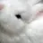 구독자