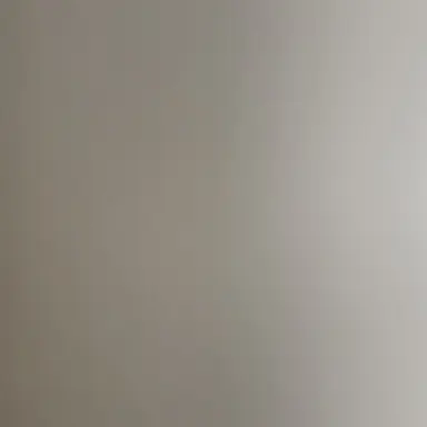 Profile image of 현성민