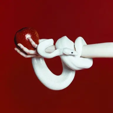 Profile image of 알렉세이