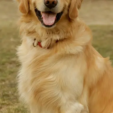 Profile image of 지프