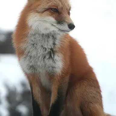 Profile image of 게리