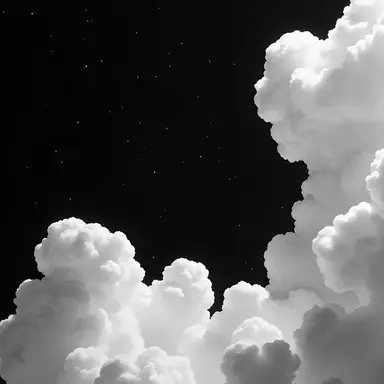 Profile image of 수아