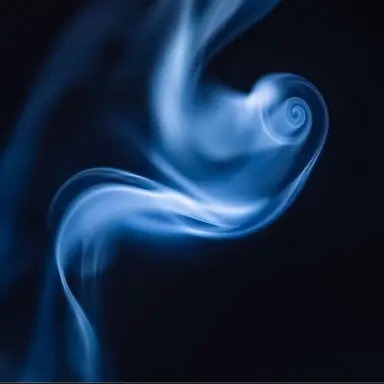 Profile image of 잠뜰