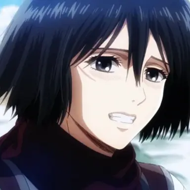 Profile image of ミカサ