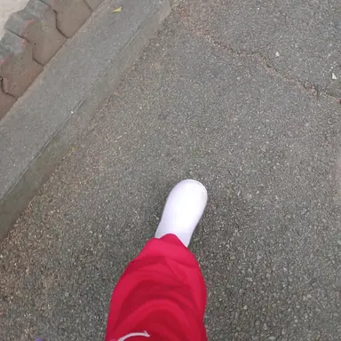 Profile image of 집사들