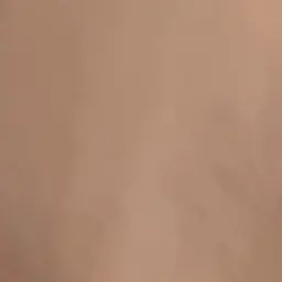 Profile image of 평학