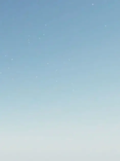 FakeStep6341의 팀나빠+고고프렌즈 일상