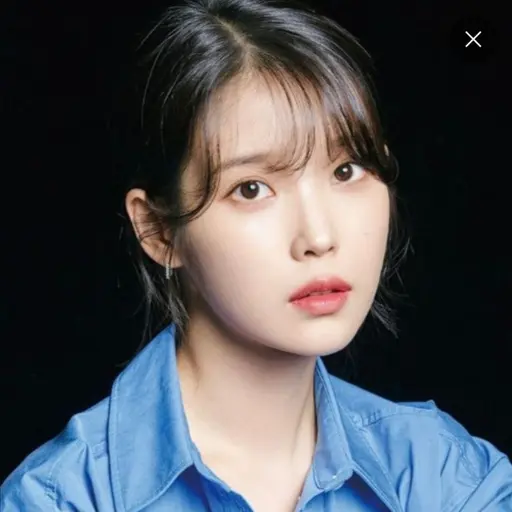 WetBonus9295의 선생님 아이유