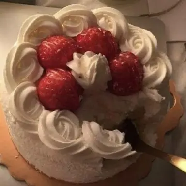 Profile image of 자하르