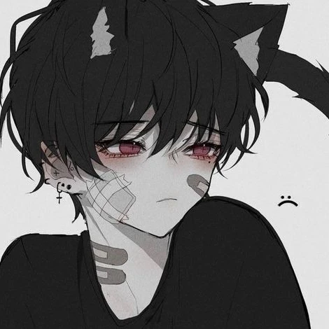 도현