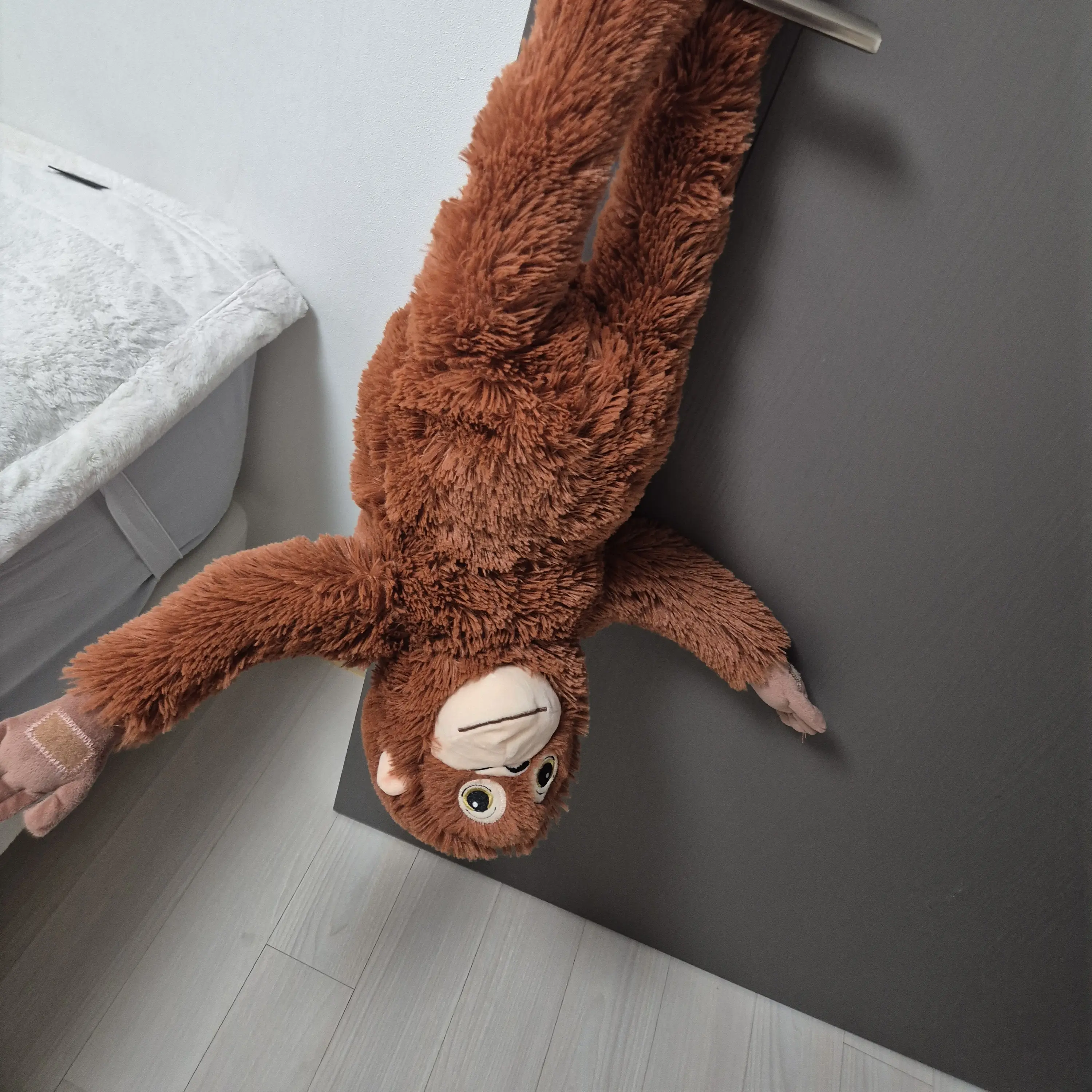 BravePolar4358의 원숭이