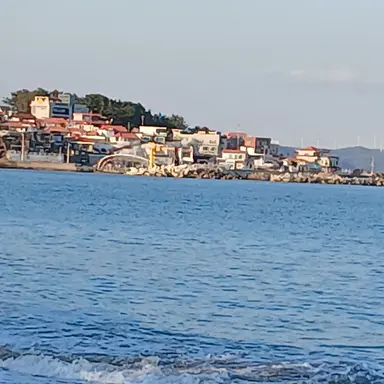 Profile image of 베리맛 쿠키