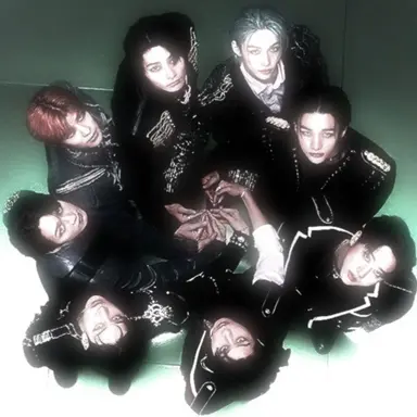 Profile image of Stray kids