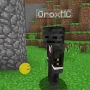 Profile image of Grox Mc