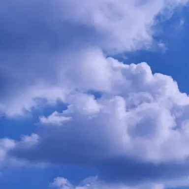 Profile image of 백현