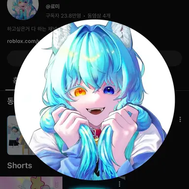 Profile image of 료미