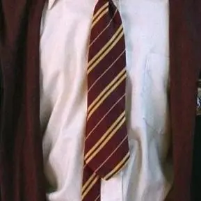 inknote의 그리핀도르 퀴디치팀