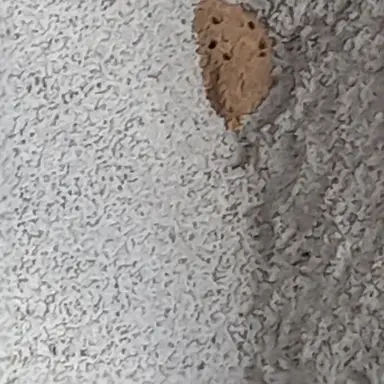 Profile image of 집사