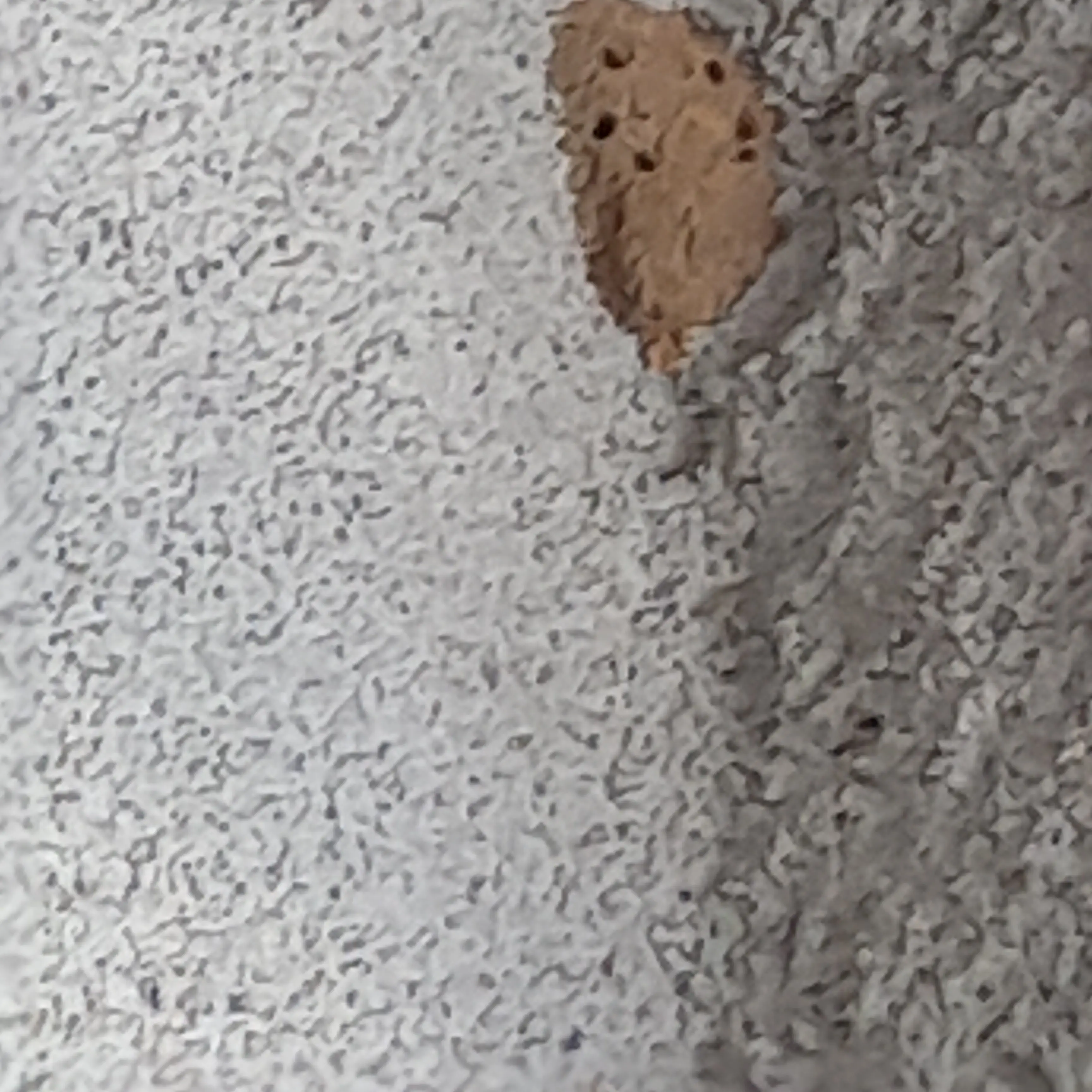 FinalShip9329의 평범한대적택