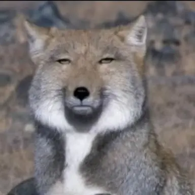 Profile image of イ・ジンタ