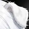 Profile image of ファイノン