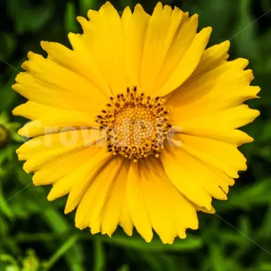 Profile image of 각별