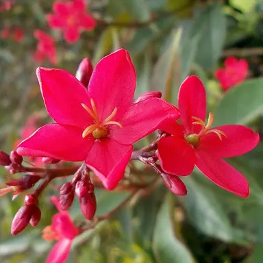 Profile image of 라더
