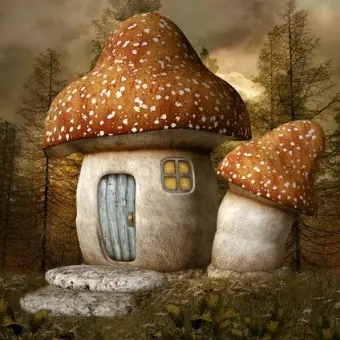 FluidSigh8717의 버섯 집