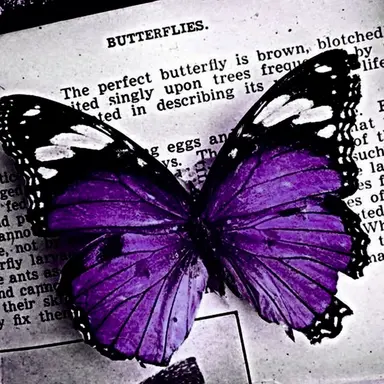 Profile image of 호시나 소우시로