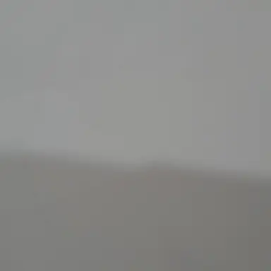 Profile image of 서한솔