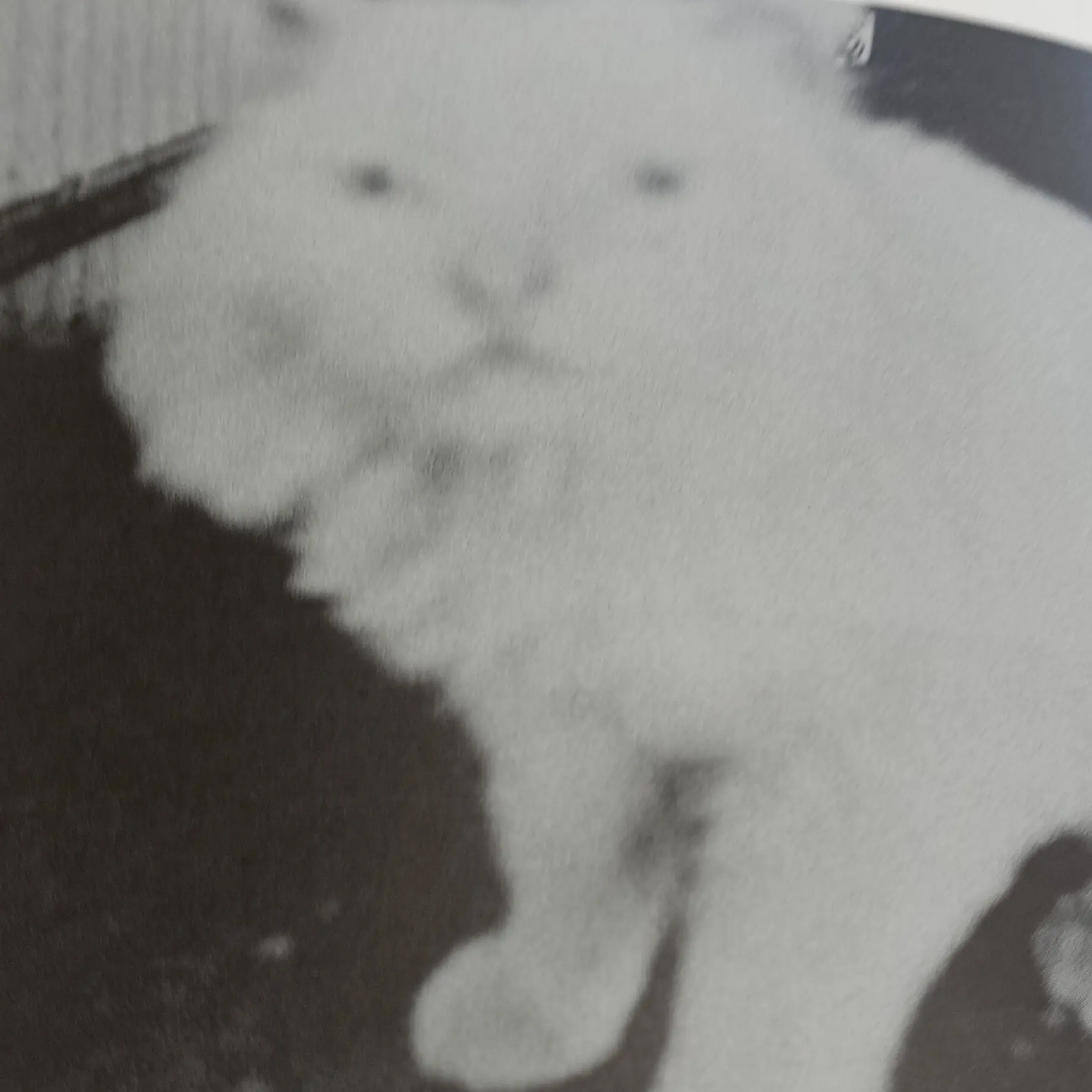 milim.o0의 天使レイ