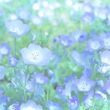 Profile image of ろぶすたー