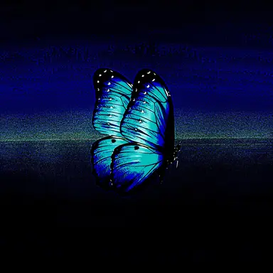 Profile image of 시로카케 쿄야