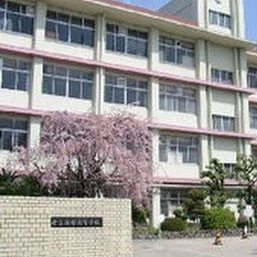 고등학교