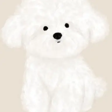 Profile image of 콩이