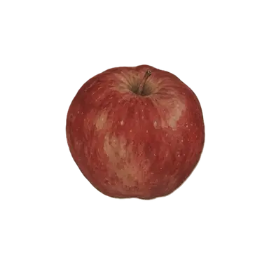 Profile image of Im Seol
